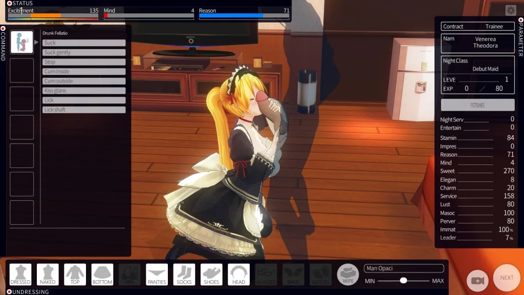 Custom order maid 3d 2