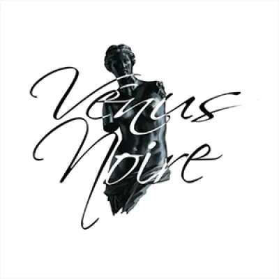 Steamy gamer venus noire games logo 300x300