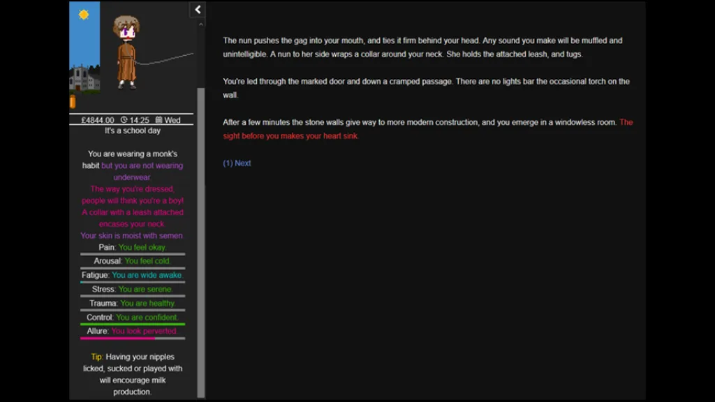 Degrees of lewdity screenshot 3