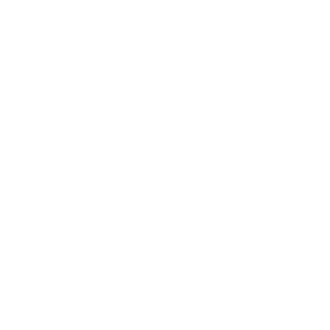 Fight angel logo