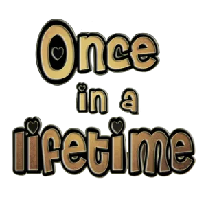 Once in a lifetime logo