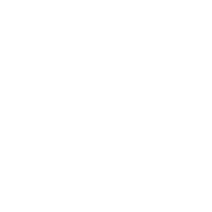 Project hs fallen doll vr game logo